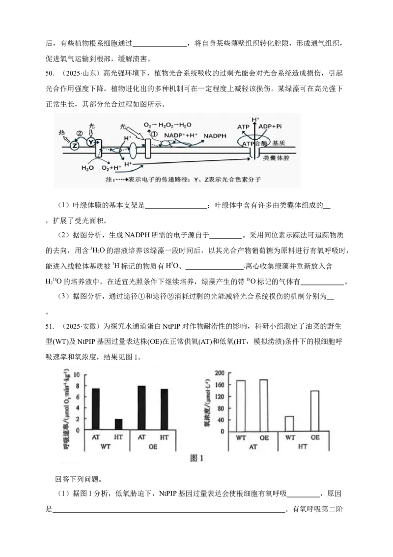 专题05呼吸作用_生物真题汇总_&radic;近三年（2023-2025）高考生物真题分专项精编_真题分专项汇编