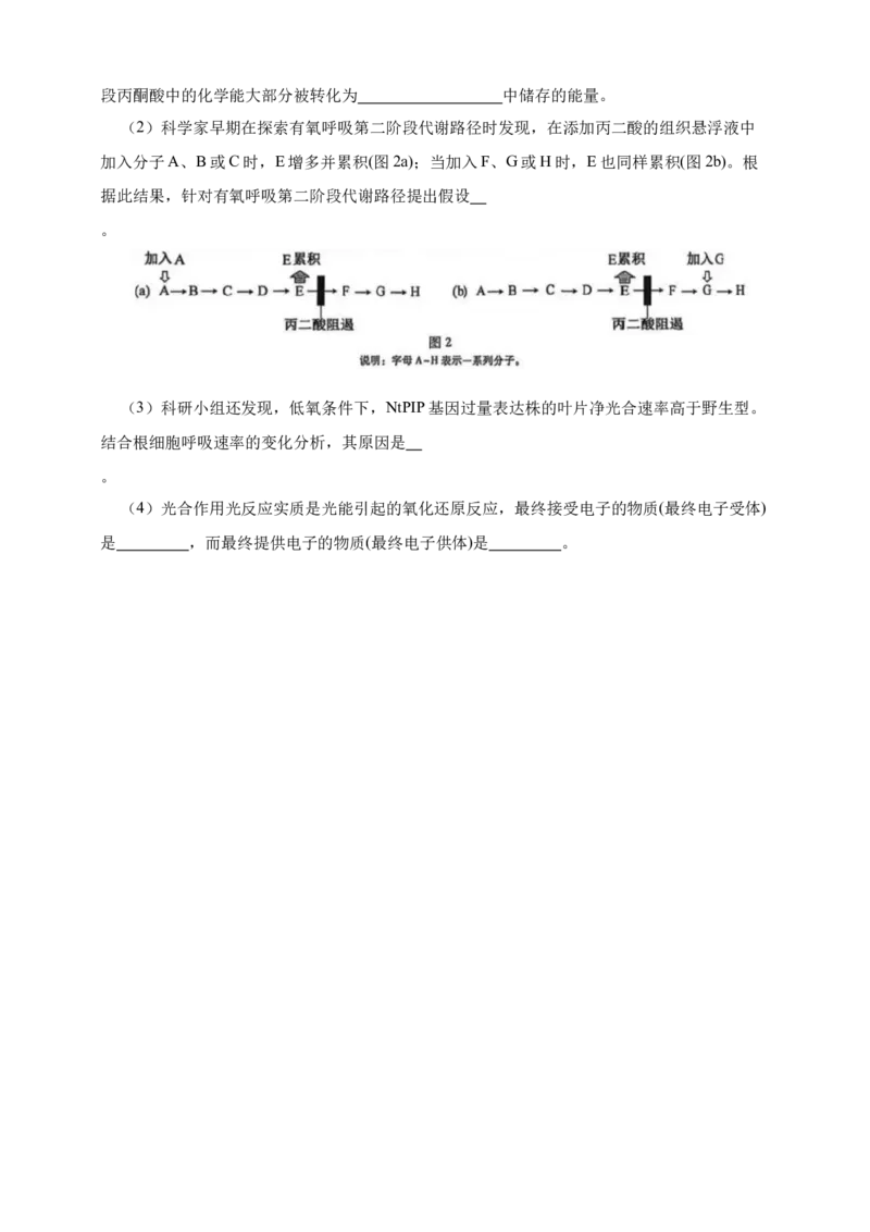 专题05呼吸作用_生物真题汇总_&radic;近三年（2023-2025）高考生物真题分专项精编_真题分专项汇编