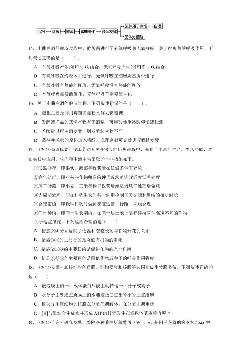 专题05呼吸作用_生物真题汇总_&radic;近三年（2023-2025）高考生物真题分专项精编_真题分专项汇编