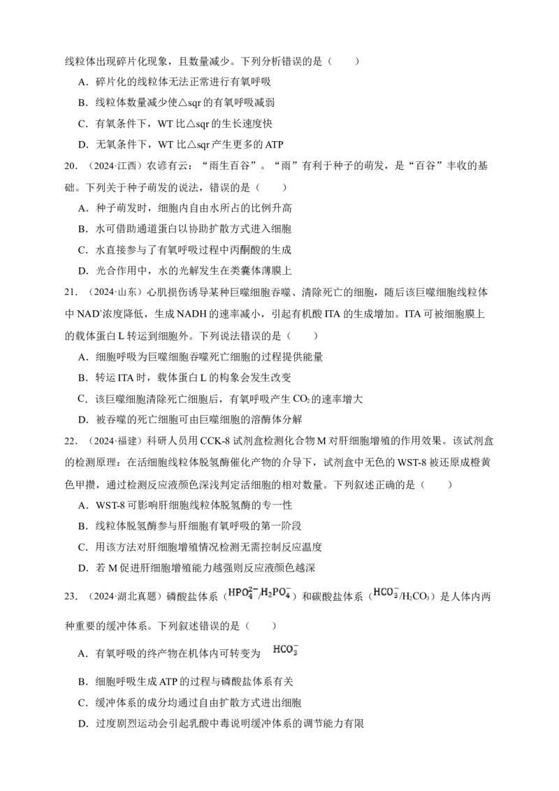 专题05呼吸作用_生物真题汇总_&radic;近三年（2023-2025）高考生物真题分专项精编_真题分专项汇编