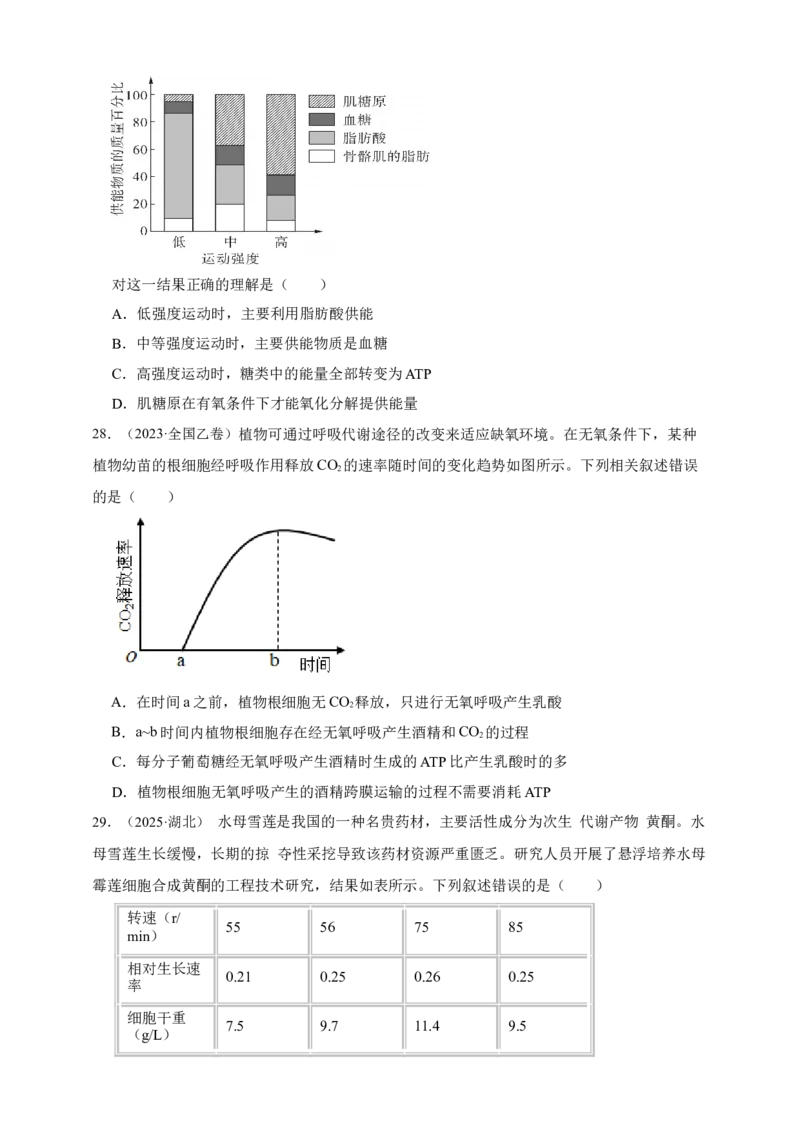 专题05呼吸作用_生物真题汇总_&radic;近三年（2023-2025）高考生物真题分专项精编_真题分专项汇编