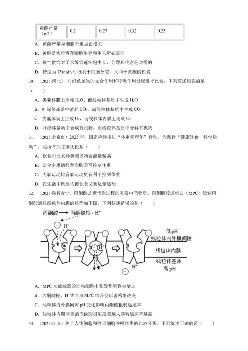 专题05呼吸作用_生物真题汇总_&radic;近三年（2023-2025）高考生物真题分专项精编_真题分专项汇编