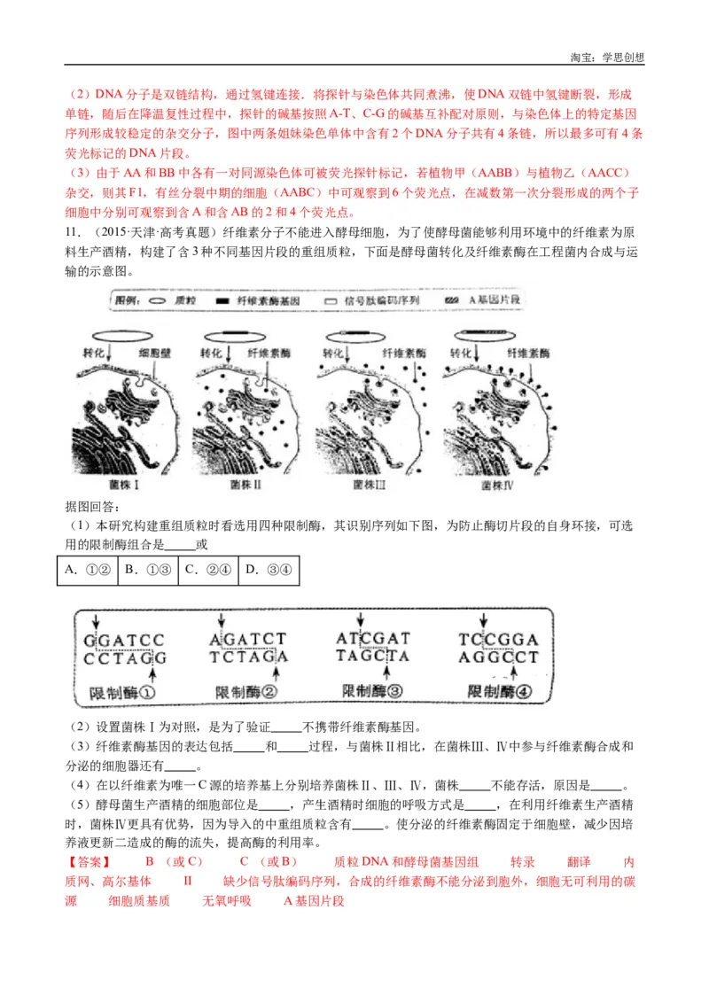 专题25基因工程-好题汇编十年（2015-2024）高考生物真题分类汇编（全国通用）（解析版）_生物真题汇总_十年（2014-2024）高考生物真题分项汇编（全国通用）