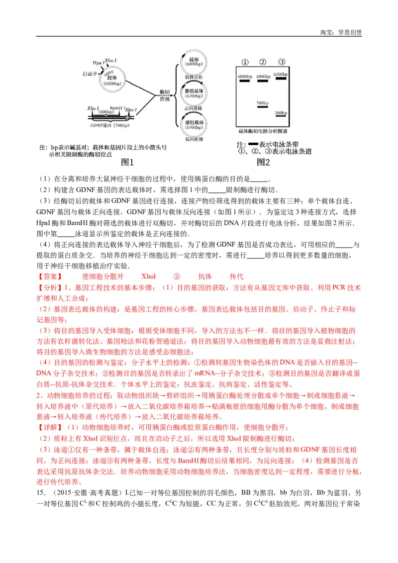 专题25基因工程-好题汇编十年（2015-2024）高考生物真题分类汇编（全国通用）（解析版）_生物真题汇总_十年（2014-2024）高考生物真题分项汇编（全国通用）