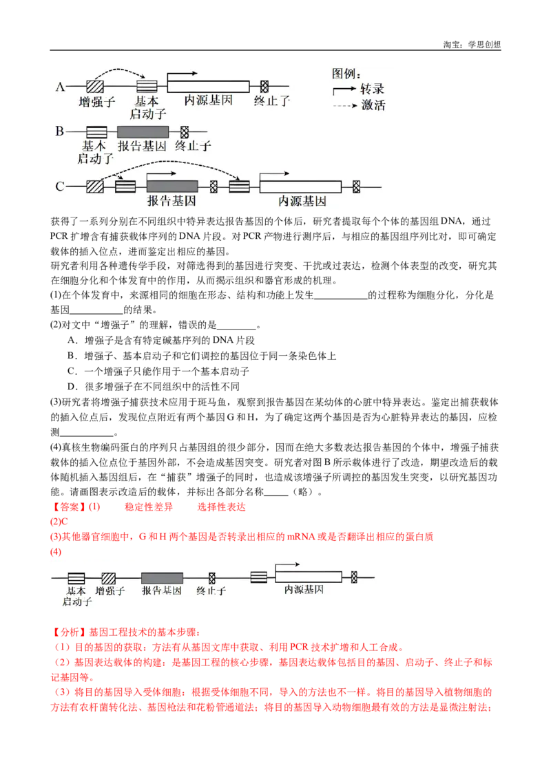 专题25基因工程-好题汇编十年（2015-2024）高考生物真题分类汇编（全国通用）（解析版）_生物真题汇总_十年（2014-2024）高考生物真题分项汇编（全国通用）