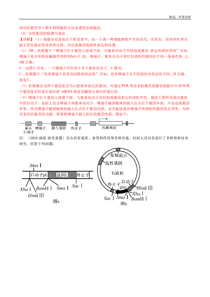 专题25基因工程-好题汇编十年（2015-2024）高考生物真题分类汇编（全国通用）（解析版）_生物真题汇总_十年（2014-2024）高考生物真题分项汇编（全国通用）