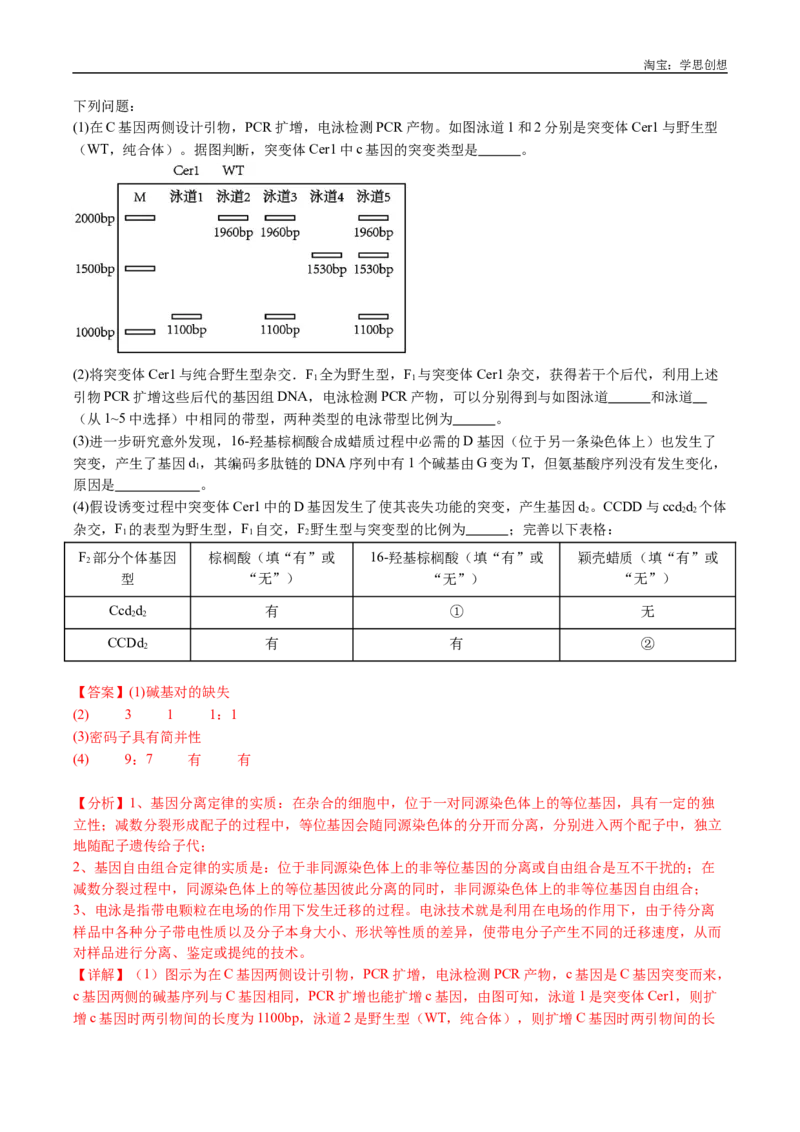 专题25基因工程-好题汇编十年（2015-2024）高考生物真题分类汇编（全国通用）（解析版）_生物真题汇总_十年（2014-2024）高考生物真题分项汇编（全国通用）
