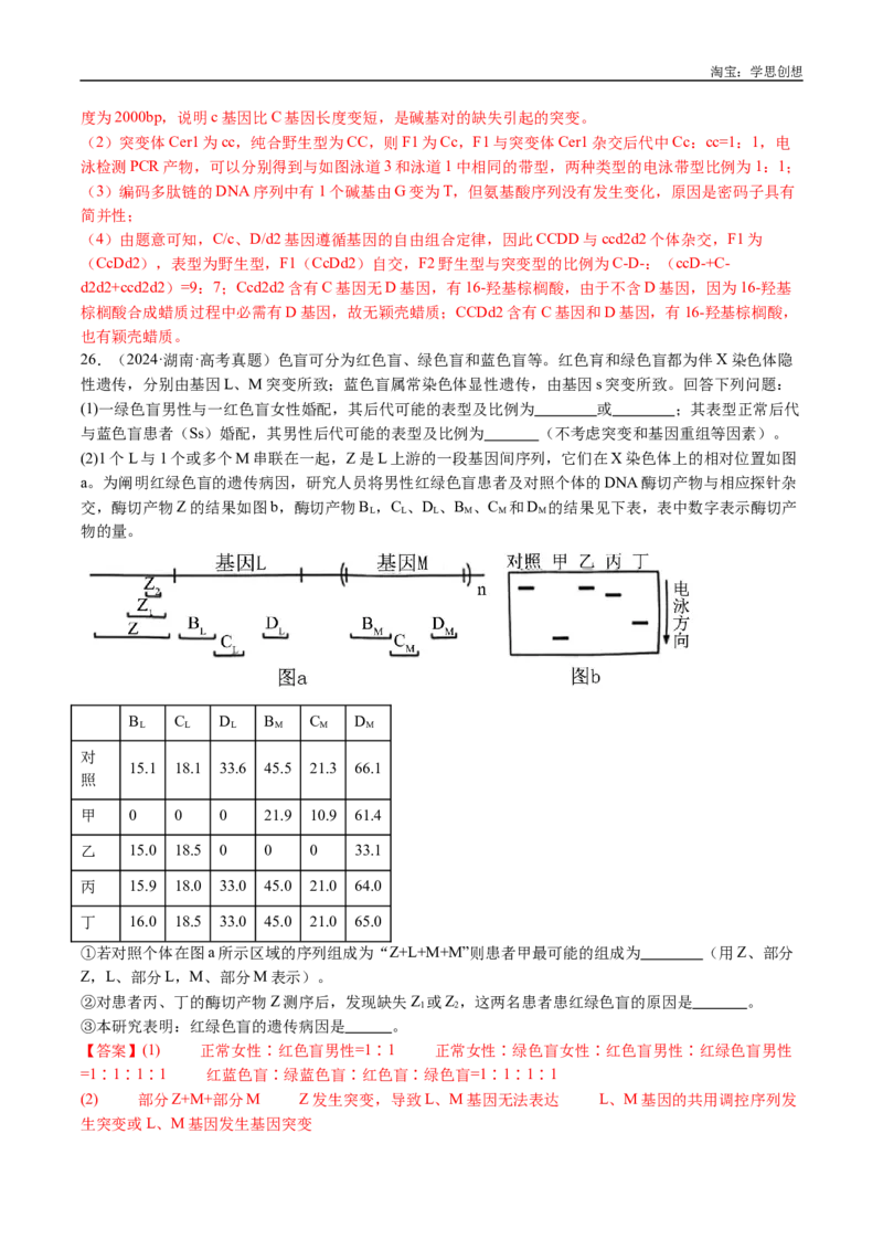 专题25基因工程-好题汇编十年（2015-2024）高考生物真题分类汇编（全国通用）（解析版）_生物真题汇总_十年（2014-2024）高考生物真题分项汇编（全国通用）
