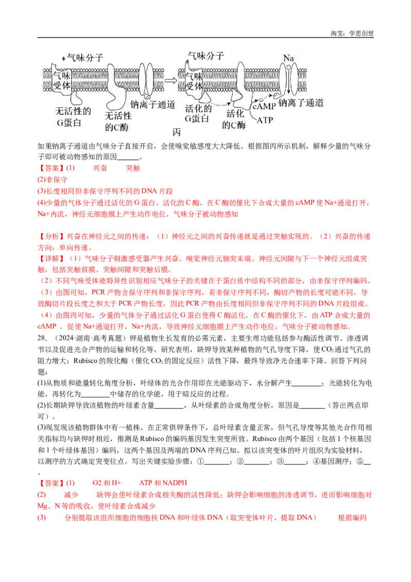 专题25基因工程-好题汇编十年（2015-2024）高考生物真题分类汇编（全国通用）（解析版）_生物真题汇总_十年（2014-2024）高考生物真题分项汇编（全国通用）