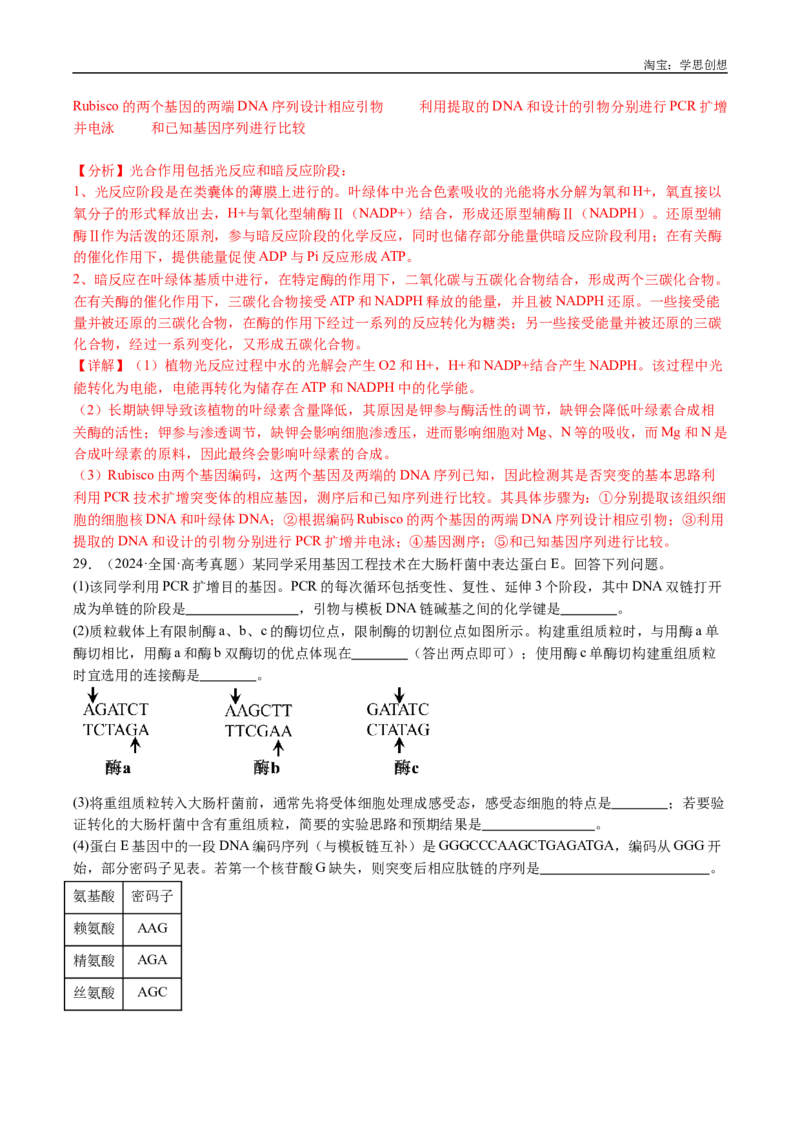 专题25基因工程-好题汇编十年（2015-2024）高考生物真题分类汇编（全国通用）（解析版）_生物真题汇总_十年（2014-2024）高考生物真题分项汇编（全国通用）