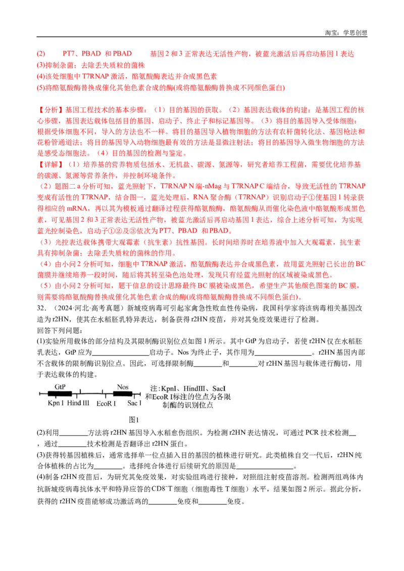 专题25基因工程-好题汇编十年（2015-2024）高考生物真题分类汇编（全国通用）（解析版）_生物真题汇总_十年（2014-2024）高考生物真题分项汇编（全国通用）
