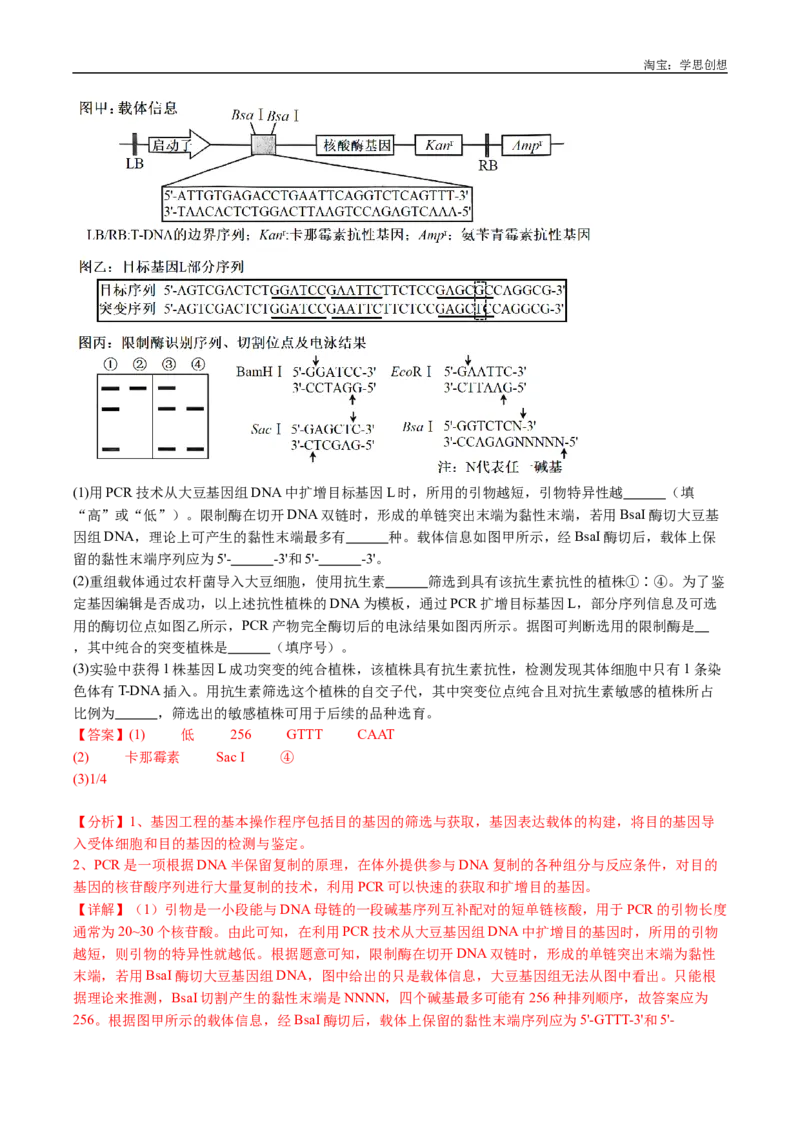 专题25基因工程-好题汇编十年（2015-2024）高考生物真题分类汇编（全国通用）（解析版）_生物真题汇总_十年（2014-2024）高考生物真题分项汇编（全国通用）