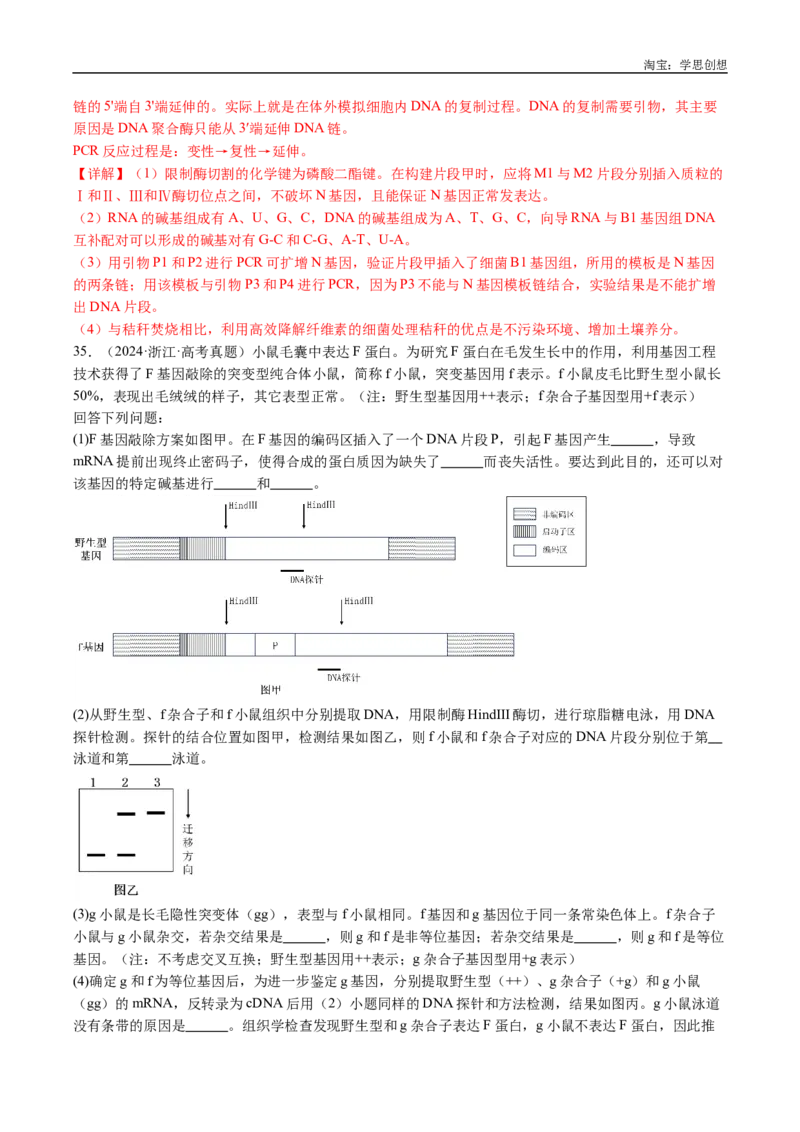 专题25基因工程-好题汇编十年（2015-2024）高考生物真题分类汇编（全国通用）（解析版）_生物真题汇总_十年（2014-2024）高考生物真题分项汇编（全国通用）