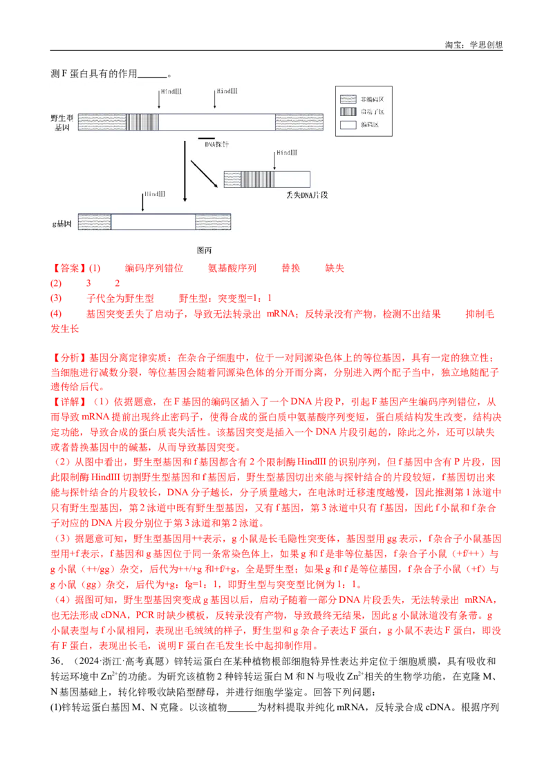 专题25基因工程-好题汇编十年（2015-2024）高考生物真题分类汇编（全国通用）（解析版）_生物真题汇总_十年（2014-2024）高考生物真题分项汇编（全国通用）