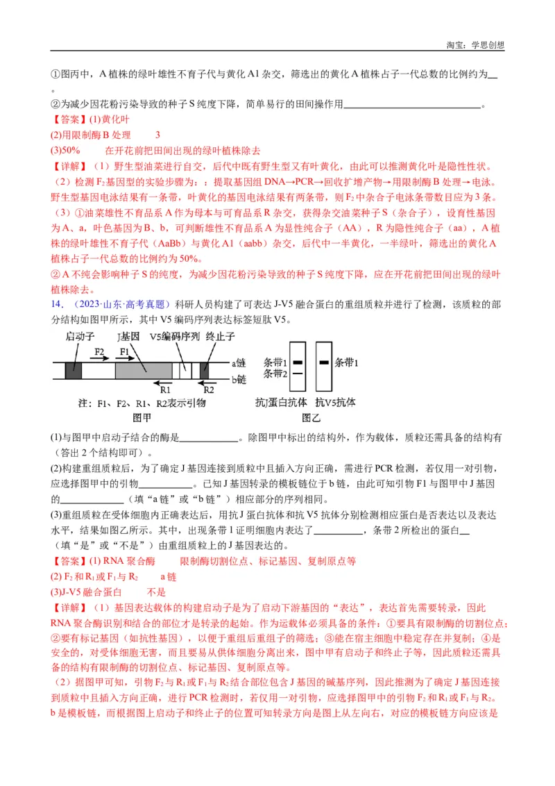 专题25基因工程-好题汇编十年（2015-2024）高考生物真题分类汇编（全国通用）（解析版）_生物真题汇总_十年（2014-2024）高考生物真题分项汇编（全国通用）