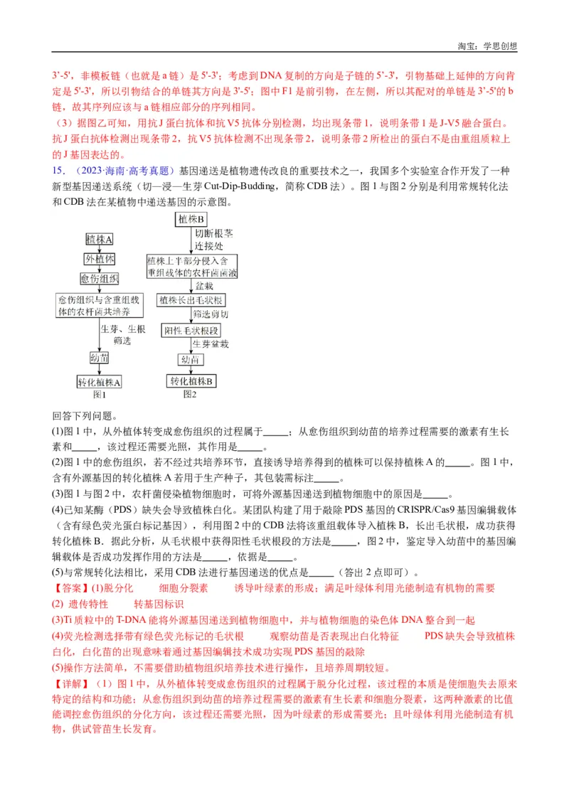 专题25基因工程-好题汇编十年（2015-2024）高考生物真题分类汇编（全国通用）（解析版）_生物真题汇总_十年（2014-2024）高考生物真题分项汇编（全国通用）