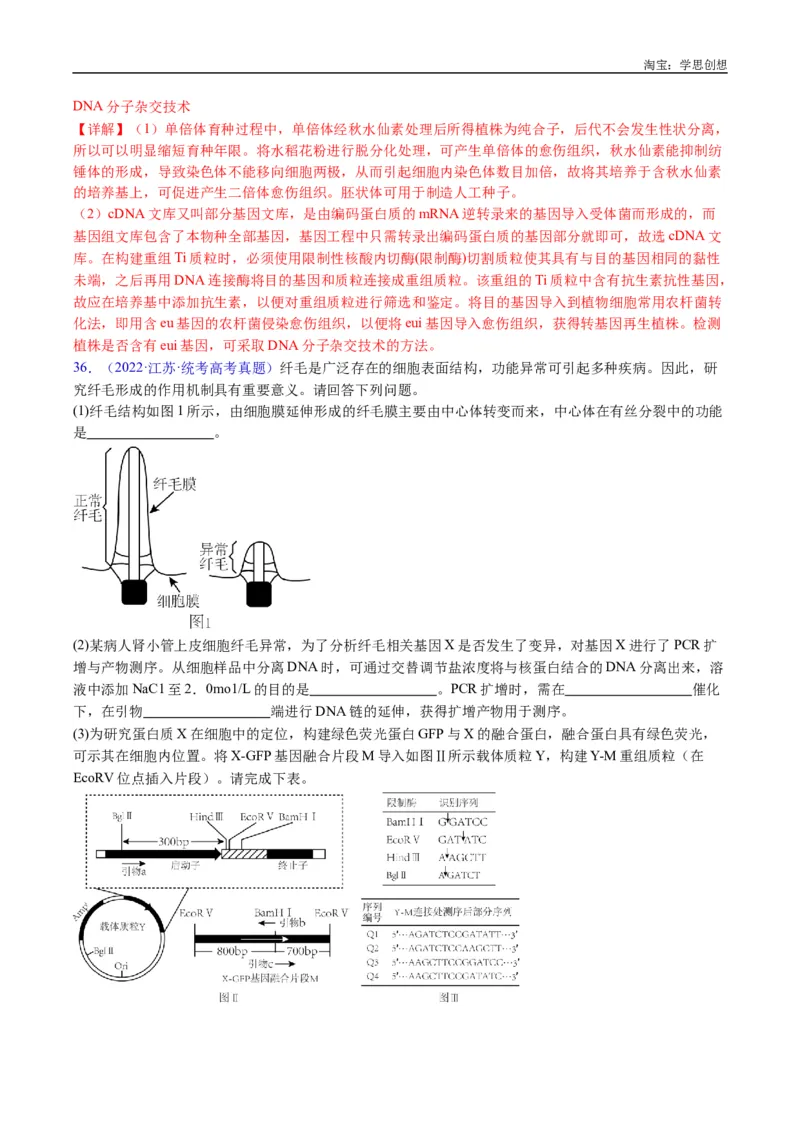 专题25基因工程-好题汇编十年（2015-2024）高考生物真题分类汇编（全国通用）（解析版）_生物真题汇总_十年（2014-2024）高考生物真题分项汇编（全国通用）
