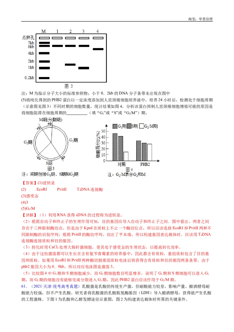 专题25基因工程-好题汇编十年（2015-2024）高考生物真题分类汇编（全国通用）（解析版）_生物真题汇总_十年（2014-2024）高考生物真题分项汇编（全国通用）