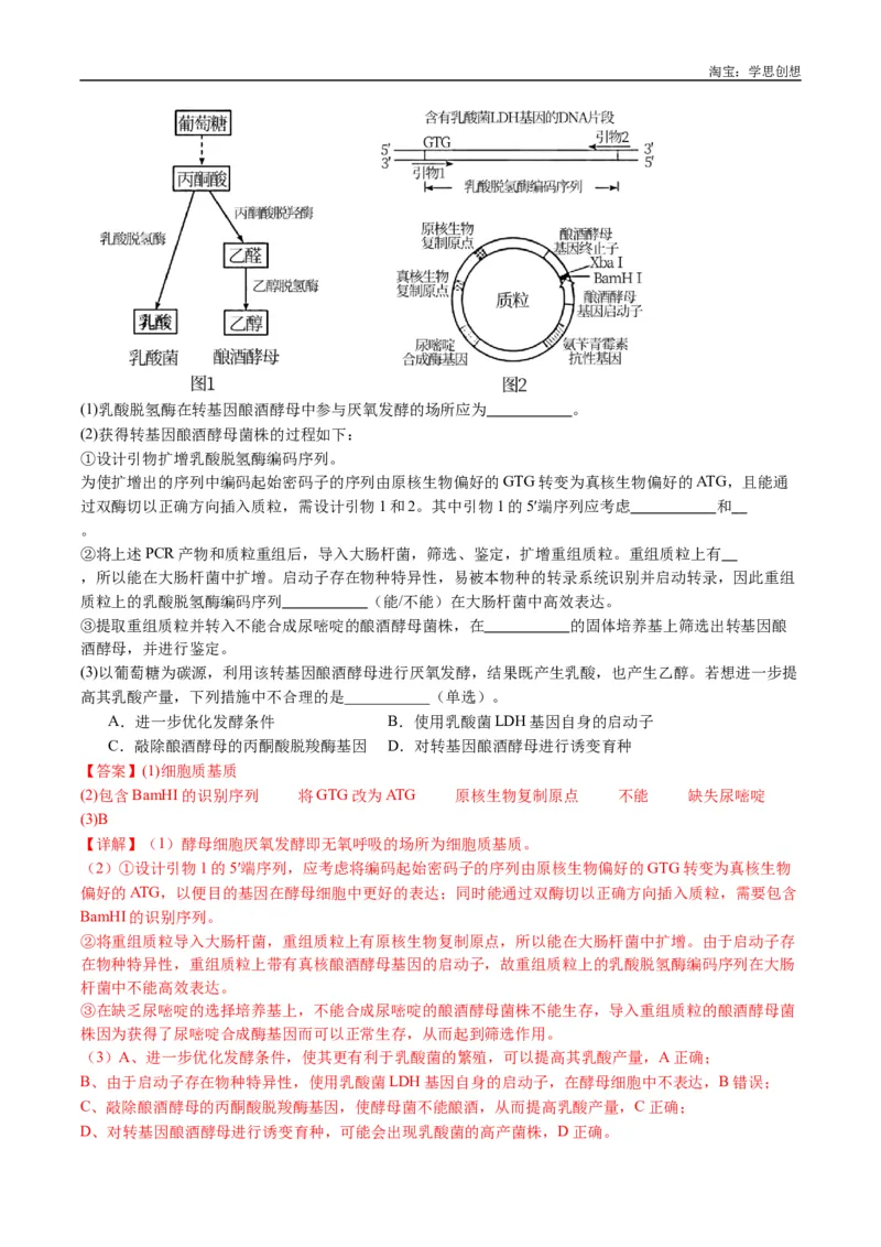 专题25基因工程-好题汇编十年（2015-2024）高考生物真题分类汇编（全国通用）（解析版）_生物真题汇总_十年（2014-2024）高考生物真题分项汇编（全国通用）