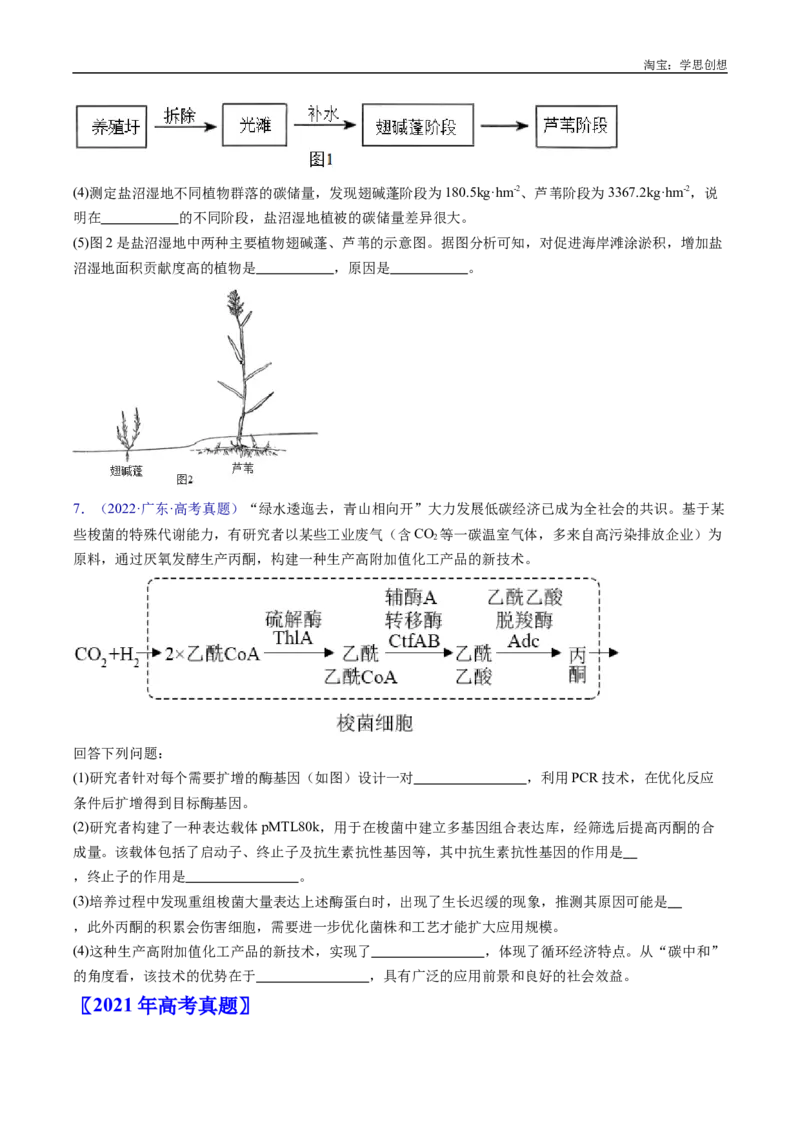 专题22生态系统和环境保护-好题汇编十年（2015-2024）高考生物真题分类汇编（全国通用）（原卷版）_生物真题汇总_十年（2014-2024）高考生物真题分项汇编（全国通用）