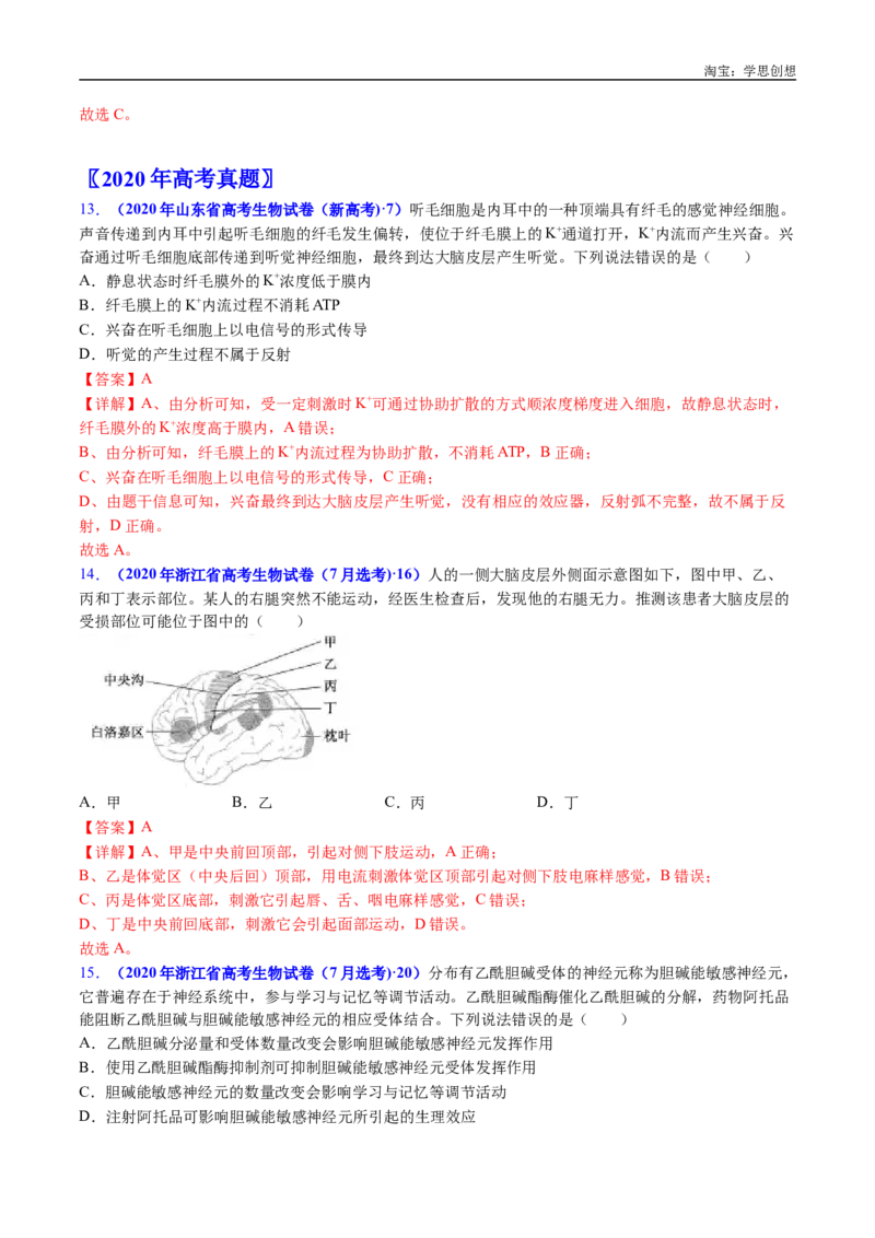 专题17神经调节-好题汇编十年（2015-2024）高考生物真题分类汇编（全国通用）（解析版）_生物真题汇总_十年（2014-2024）高考生物真题分项汇编（全国通用）