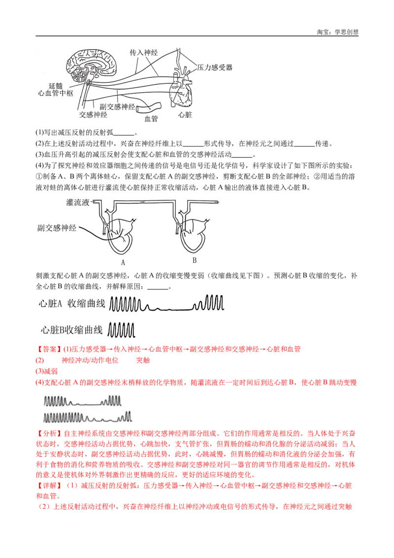 专题17神经调节-好题汇编十年（2015-2024）高考生物真题分类汇编（全国通用）（解析版）_生物真题汇总_十年（2014-2024）高考生物真题分项汇编（全国通用）