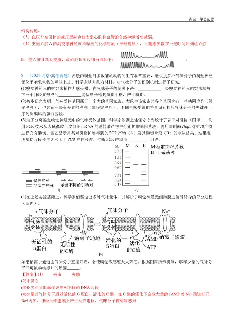 专题17神经调节-好题汇编十年（2015-2024）高考生物真题分类汇编（全国通用）（解析版）_生物真题汇总_十年（2014-2024）高考生物真题分项汇编（全国通用）