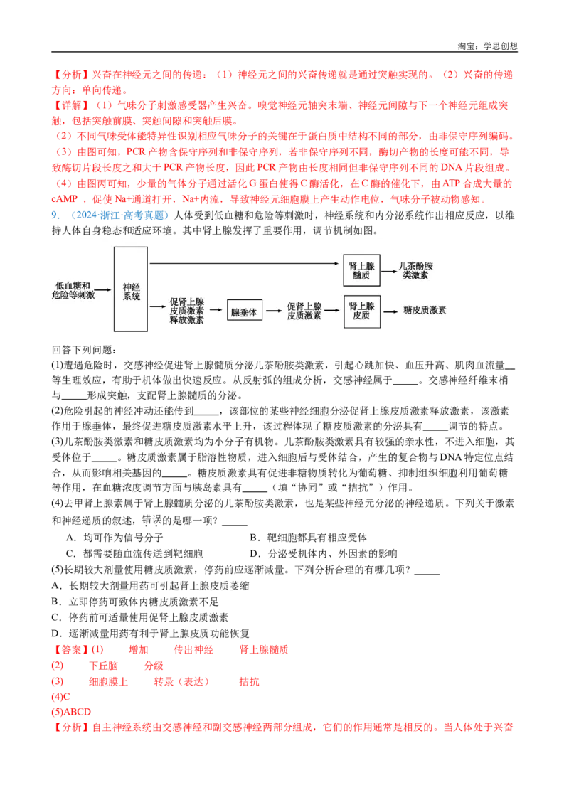 专题17神经调节-好题汇编十年（2015-2024）高考生物真题分类汇编（全国通用）（解析版）_生物真题汇总_十年（2014-2024）高考生物真题分项汇编（全国通用）