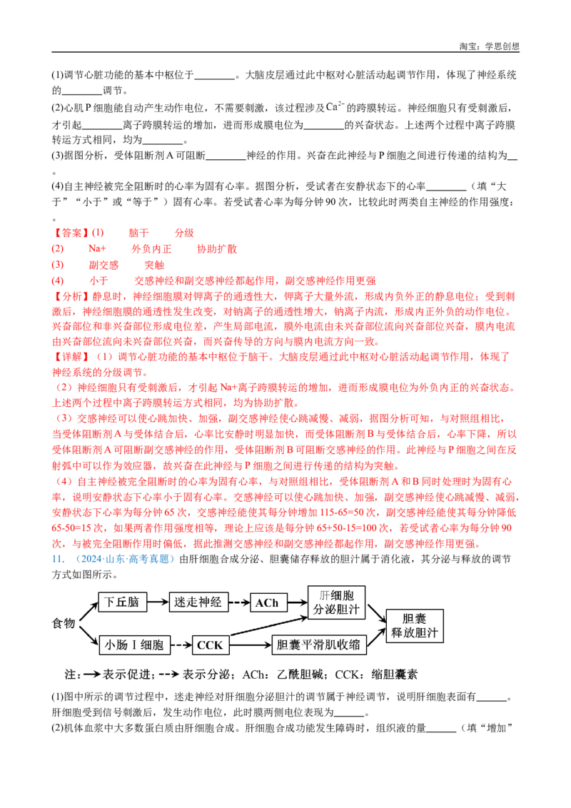 专题17神经调节-好题汇编十年（2015-2024）高考生物真题分类汇编（全国通用）（解析版）_生物真题汇总_十年（2014-2024）高考生物真题分项汇编（全国通用）