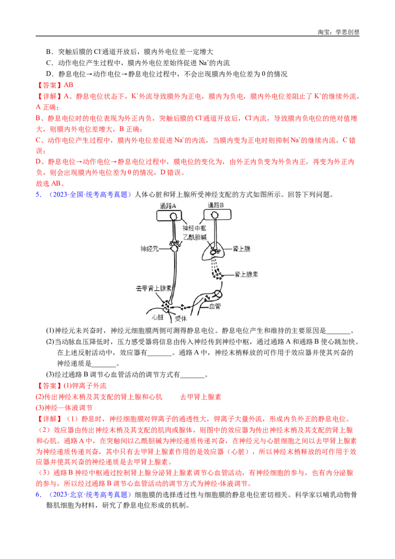 专题17神经调节-好题汇编十年（2015-2024）高考生物真题分类汇编（全国通用）（解析版）_生物真题汇总_十年（2014-2024）高考生物真题分项汇编（全国通用）