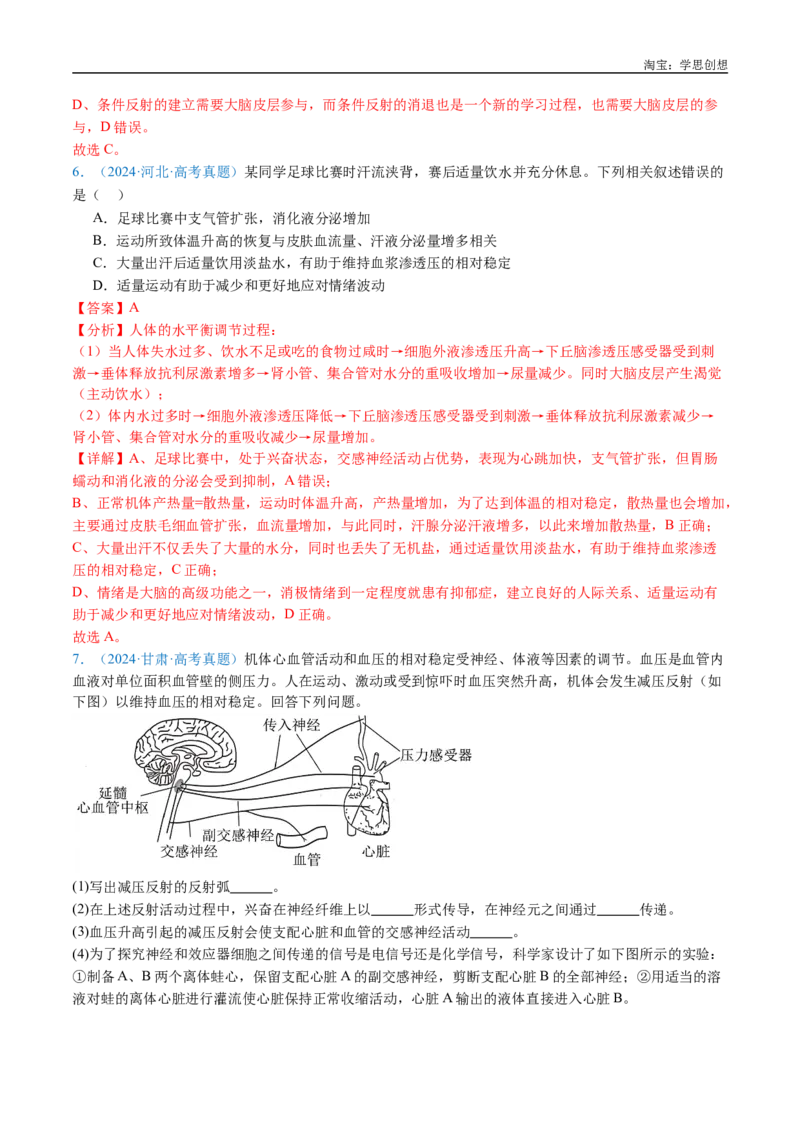专题17神经调节-好题汇编十年（2015-2024）高考生物真题分类汇编（全国通用）（解析版）_生物真题汇总_十年（2014-2024）高考生物真题分项汇编（全国通用）