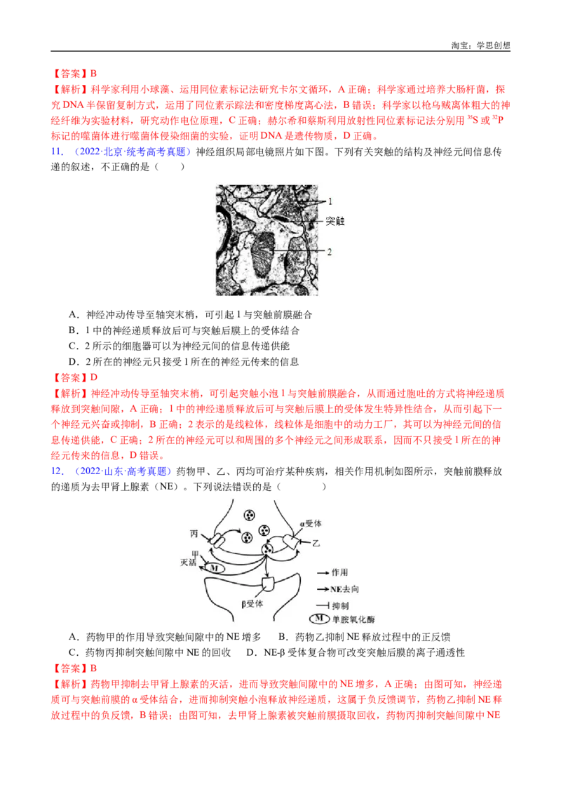 专题17神经调节-好题汇编十年（2015-2024）高考生物真题分类汇编（全国通用）（解析版）_生物真题汇总_十年（2014-2024）高考生物真题分项汇编（全国通用）
