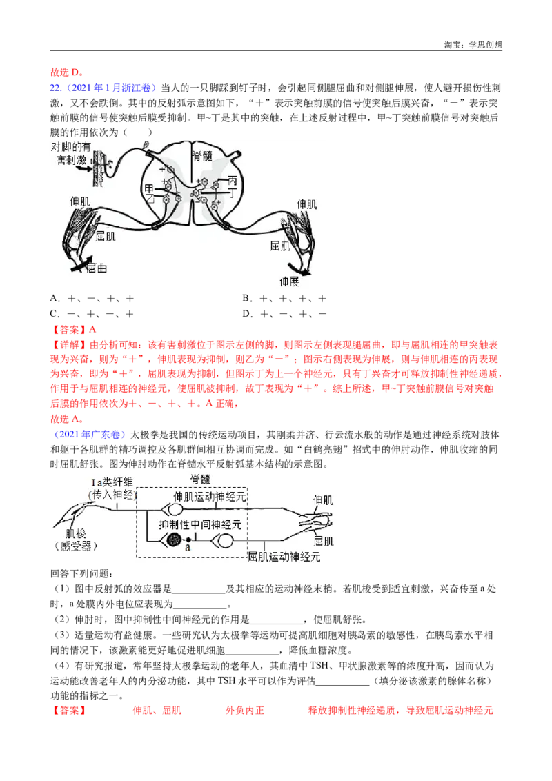 专题17神经调节-好题汇编十年（2015-2024）高考生物真题分类汇编（全国通用）（解析版）_生物真题汇总_十年（2014-2024）高考生物真题分项汇编（全国通用）