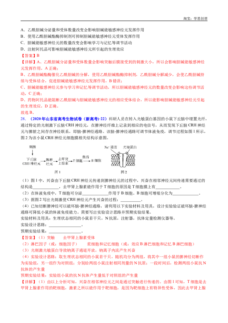 专题17神经调节-好题汇编十年（2015-2024）高考生物真题分类汇编（全国通用）（解析版）_生物真题汇总_十年（2014-2024）高考生物真题分项汇编（全国通用）