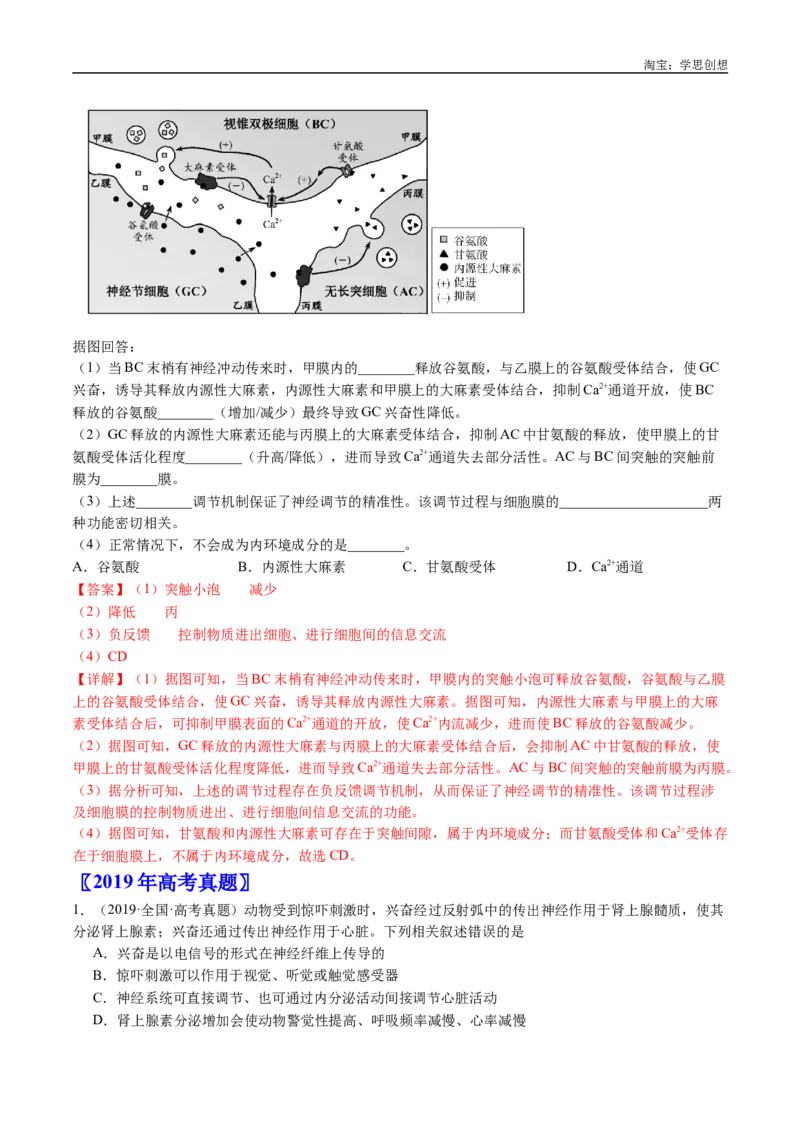 专题17神经调节-好题汇编十年（2015-2024）高考生物真题分类汇编（全国通用）（解析版）_生物真题汇总_十年（2014-2024）高考生物真题分项汇编（全国通用）