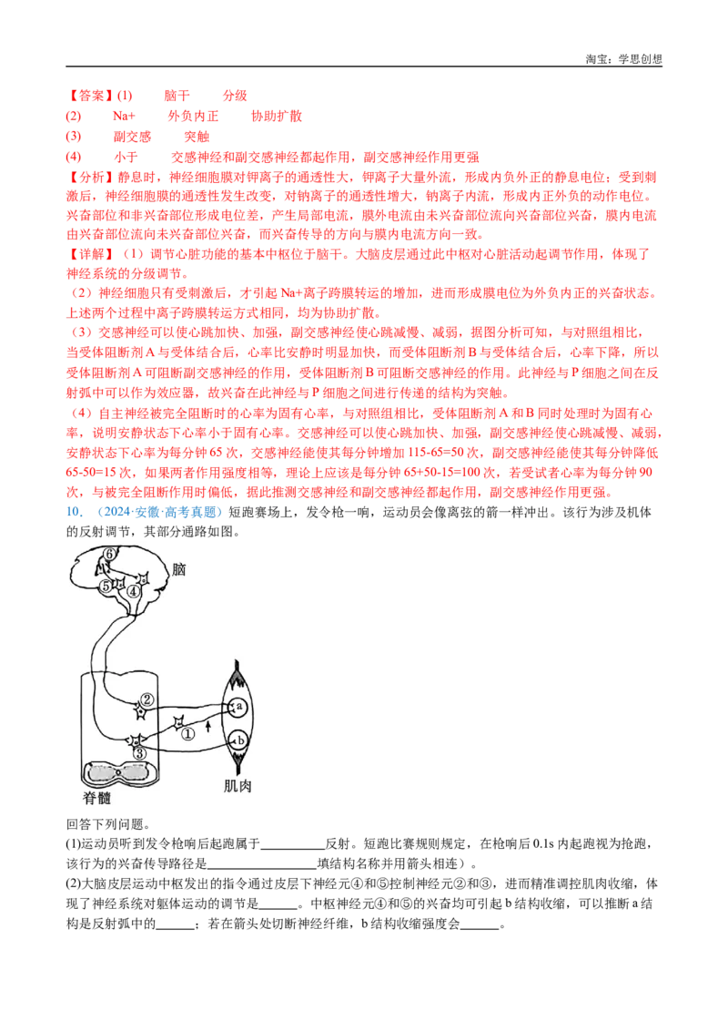 专题17神经调节-好题汇编十年（2015-2024）高考生物真题分类汇编（全国通用）（解析版）_生物真题汇总_十年（2014-2024）高考生物真题分项汇编（全国通用）