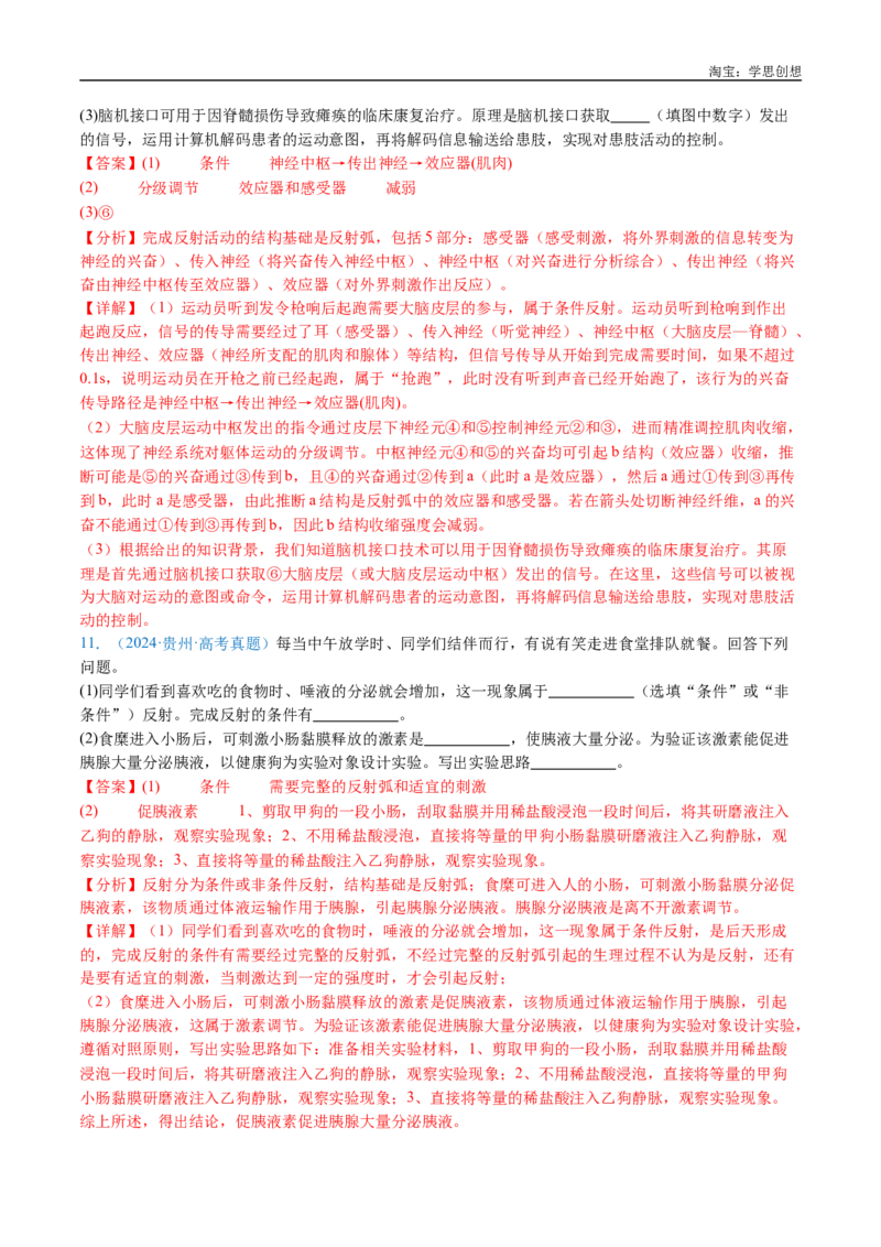 专题17神经调节-好题汇编十年（2015-2024）高考生物真题分类汇编（全国通用）（解析版）_生物真题汇总_十年（2014-2024）高考生物真题分项汇编（全国通用）