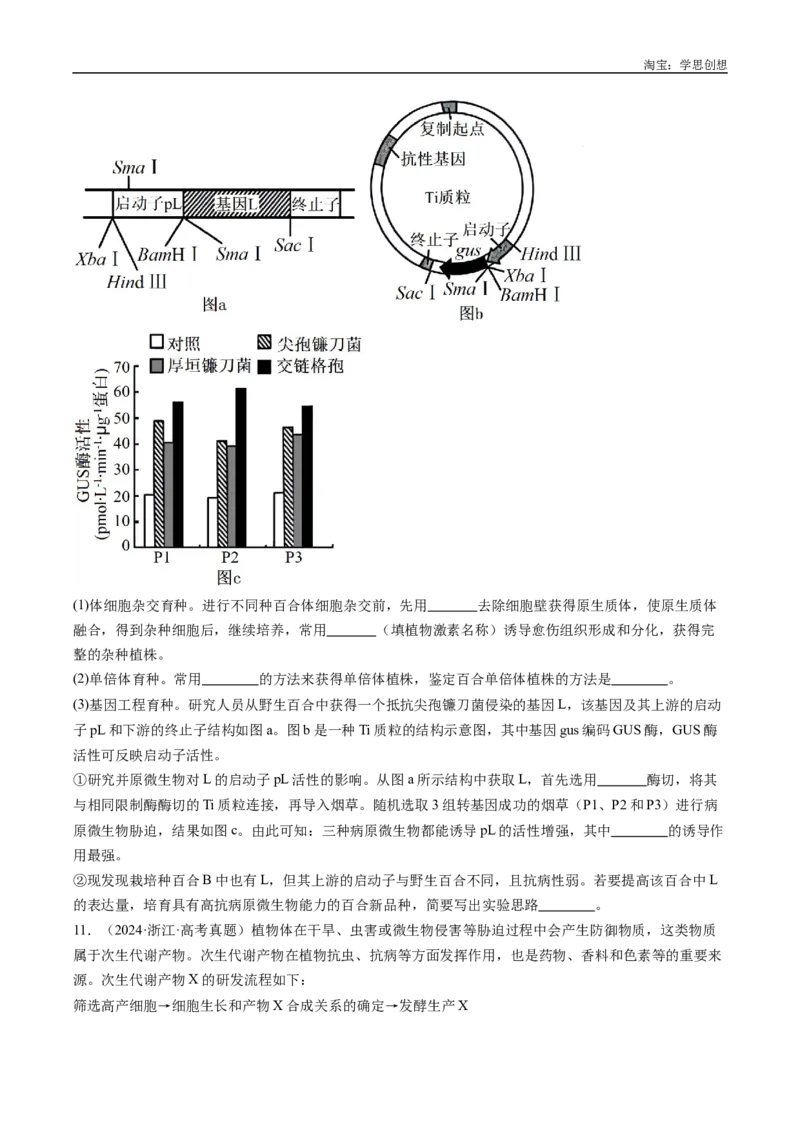 专题24细胞工程与胚胎工程-好题汇编十年（2015-2024）高考生物真题分类汇编（全国通用）（原卷版）_生物真题汇总_十年（2014-2024）高考生物真题分项汇编（全国通用）