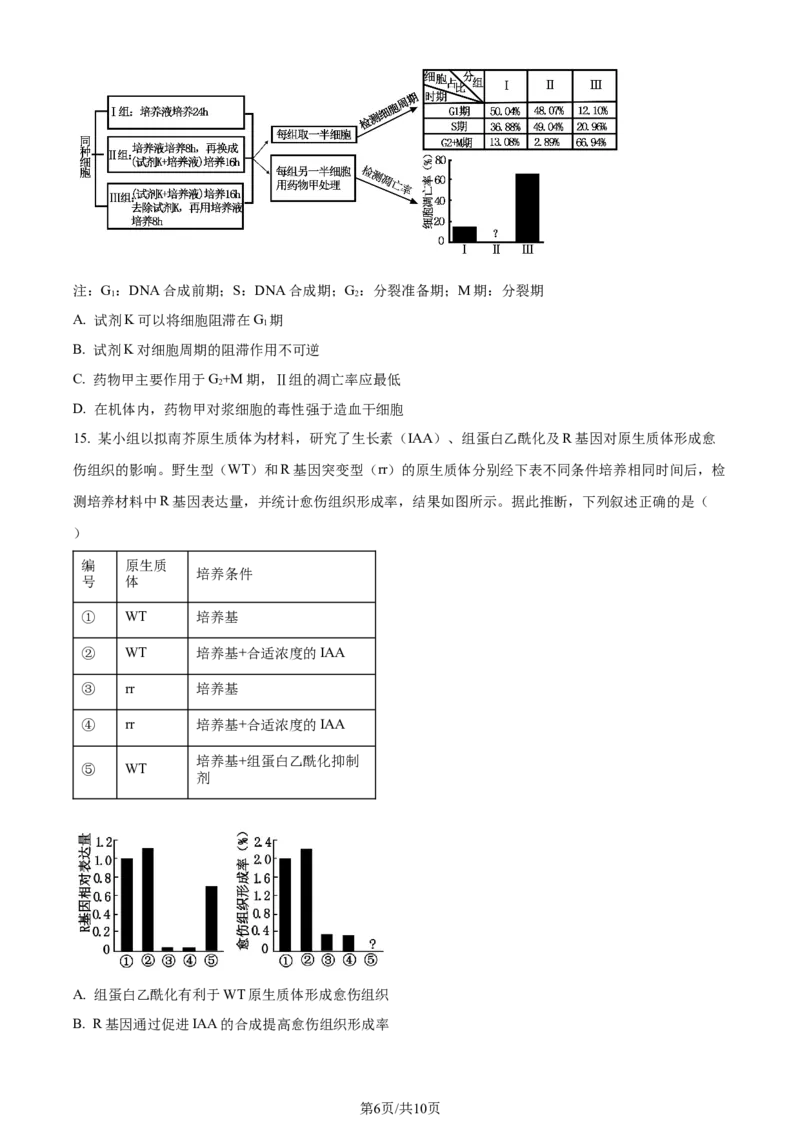 2023年高考生物试卷（重庆）（空白卷）_生物真题汇总_十年（2014-2024）高考生物真题分项汇编（全国通用）_2008-2024年历年高考生物真题（含解析）_2023&middot;高考生物真题