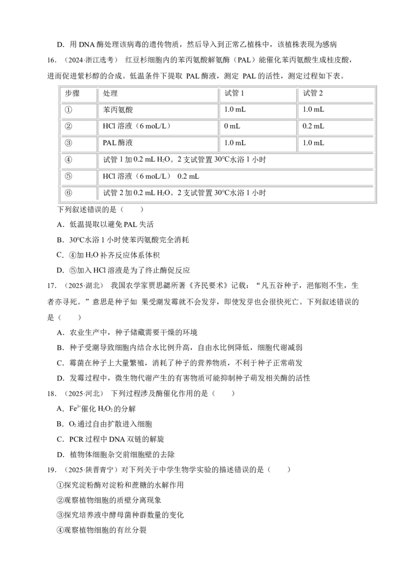 专题04酶和ATP_生物真题汇总_&radic;近三年（2023-2025）高考生物真题分专项精编_真题分专项汇编