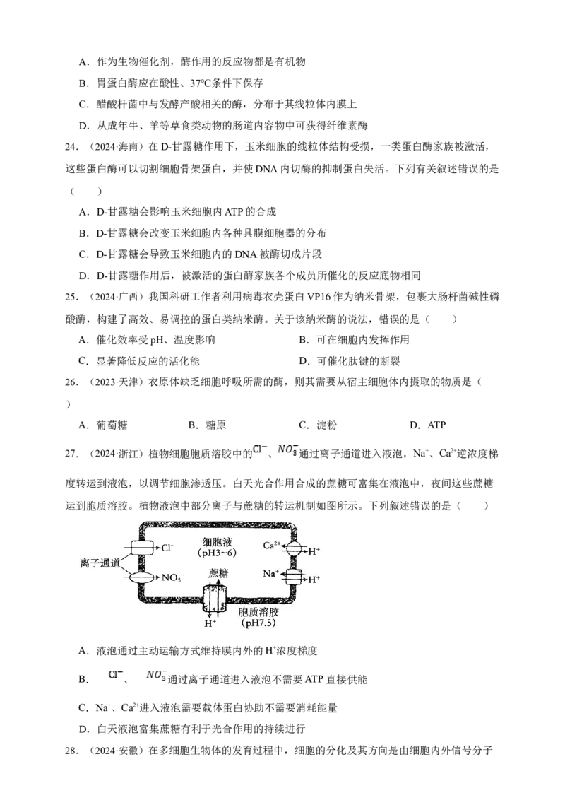 专题04酶和ATP_生物真题汇总_&radic;近三年（2023-2025）高考生物真题分专项精编_真题分专项汇编