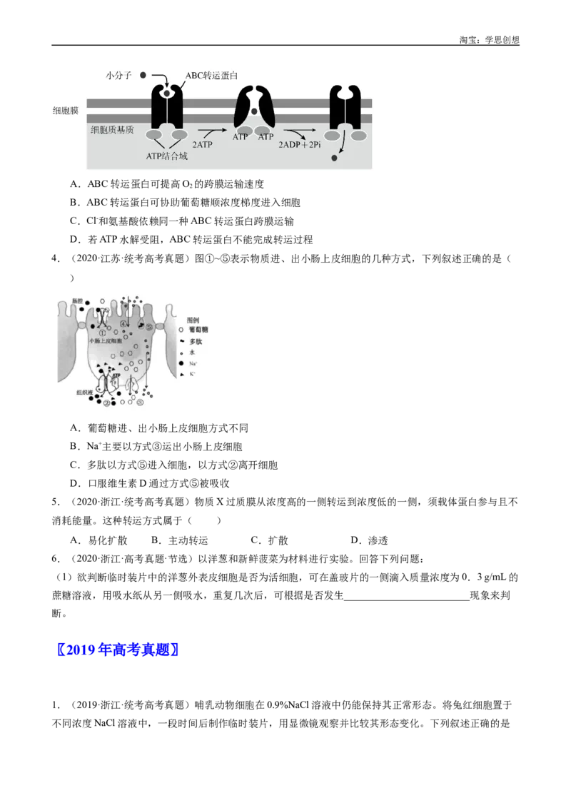 专题03物质运输-好题汇编十年（2015-2024）高考生物真题分类汇编（全国通用）（原卷版）_生物真题汇总_十年（2014-2024）高考生物真题分项汇编（全国通用）