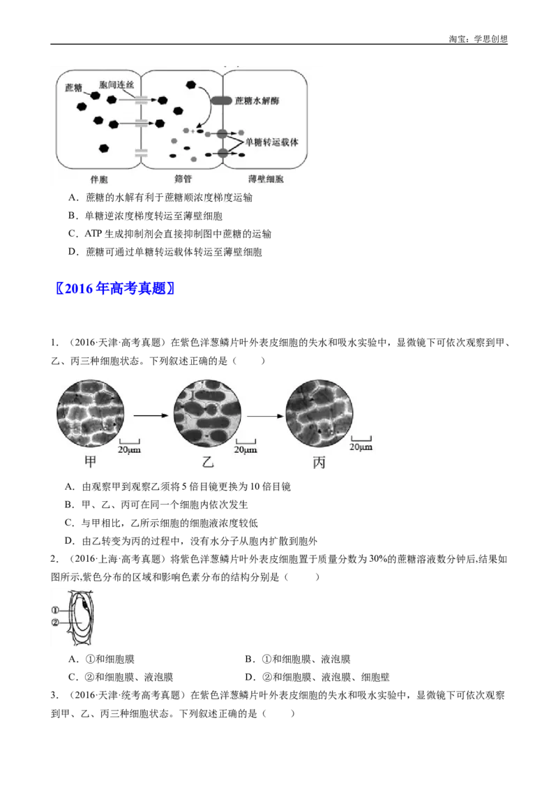 专题03物质运输-好题汇编十年（2015-2024）高考生物真题分类汇编（全国通用）（原卷版）_生物真题汇总_十年（2014-2024）高考生物真题分项汇编（全国通用）