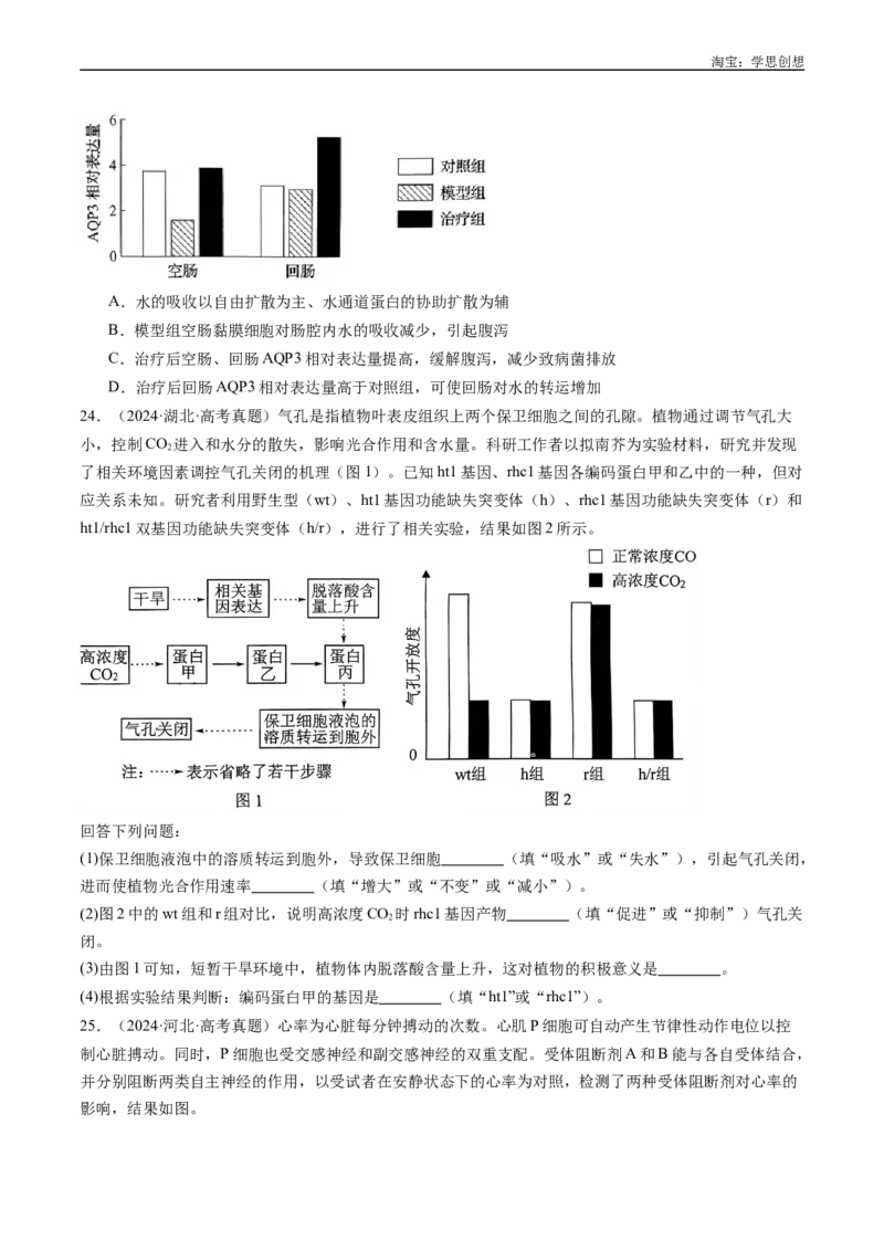 专题03物质运输-好题汇编十年（2015-2024）高考生物真题分类汇编（全国通用）（原卷版）_生物真题汇总_十年（2014-2024）高考生物真题分项汇编（全国通用）