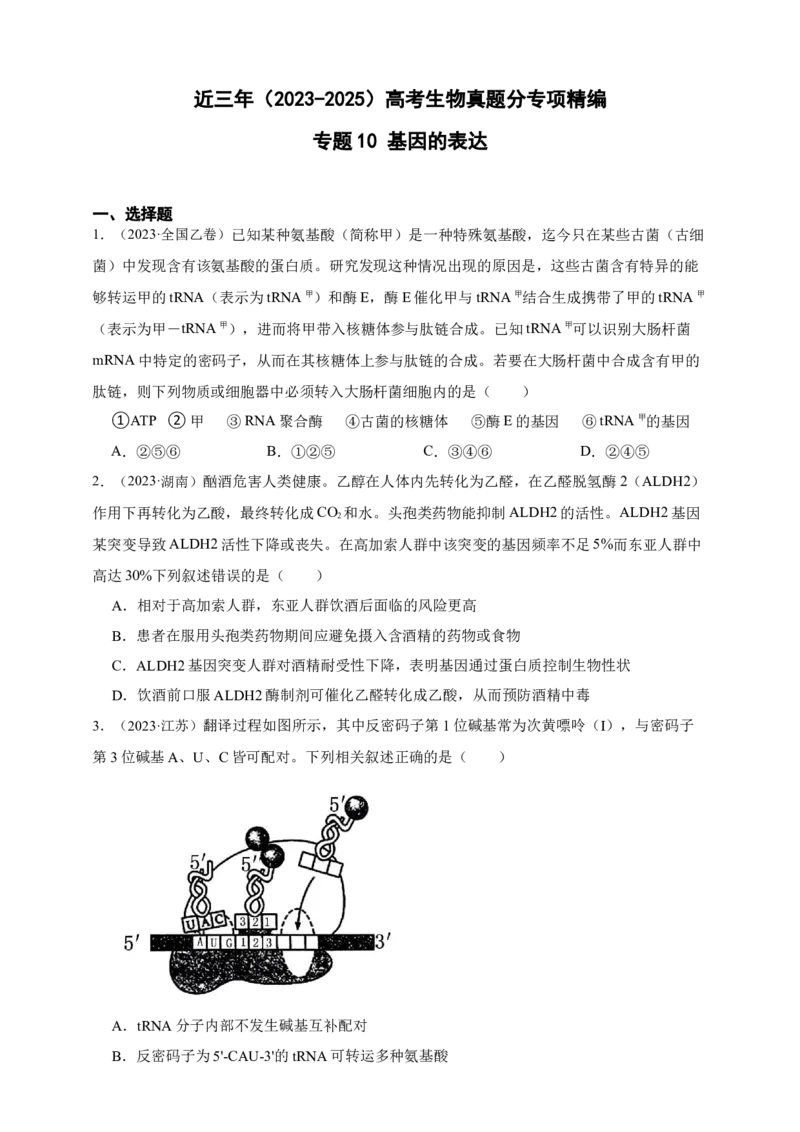 专题10基因的表达_生物真题汇总_&radic;近三年（2023-2025）高考生物真题分专项精编_真题分专项汇编