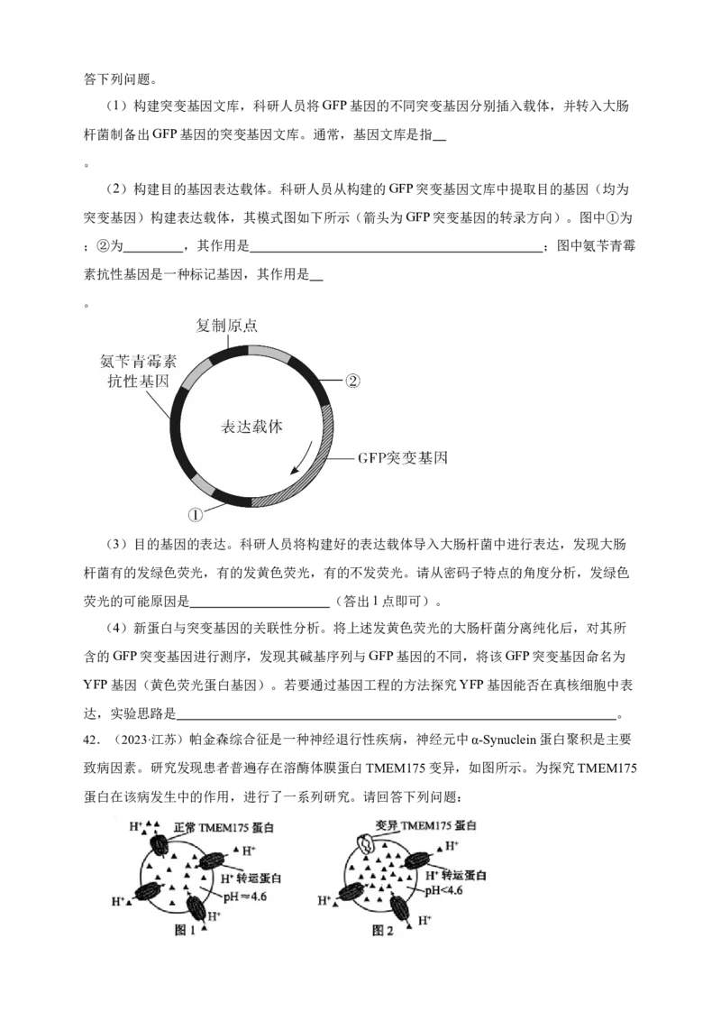 专题10基因的表达_生物真题汇总_&radic;近三年（2023-2025）高考生物真题分专项精编_真题分专项汇编