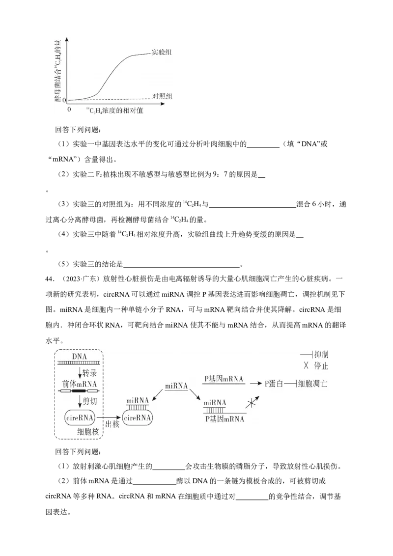 专题10基因的表达_生物真题汇总_&radic;近三年（2023-2025）高考生物真题分专项精编_真题分专项汇编