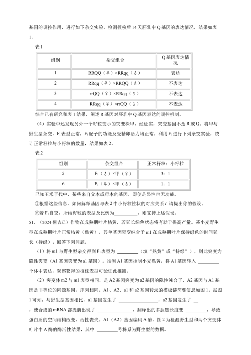 专题10基因的表达_生物真题汇总_&radic;近三年（2023-2025）高考生物真题分专项精编_真题分专项汇编