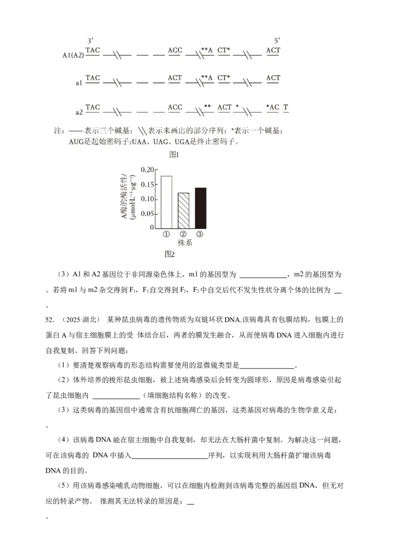 专题10基因的表达_生物真题汇总_&radic;近三年（2023-2025）高考生物真题分专项精编_真题分专项汇编