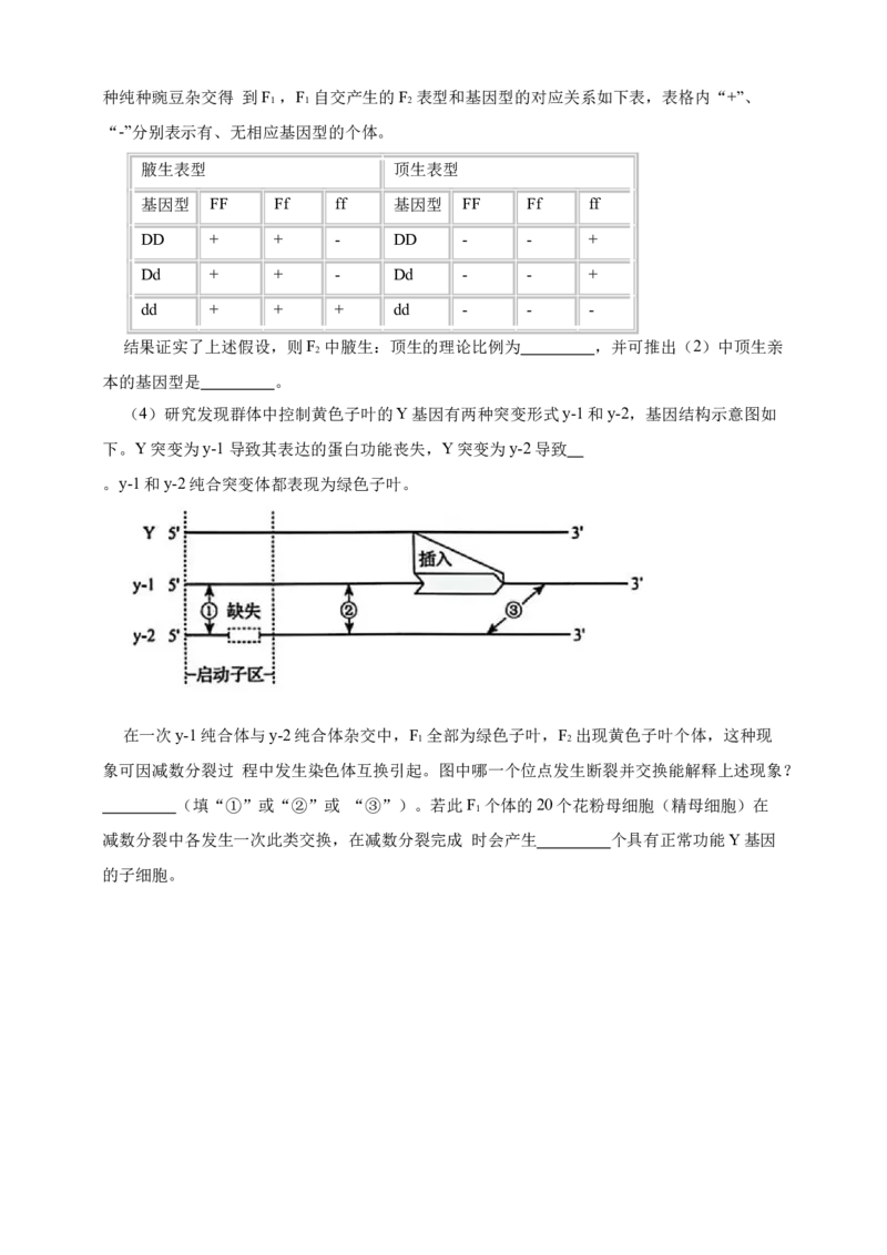 专题10基因的表达_生物真题汇总_&radic;近三年（2023-2025）高考生物真题分专项精编_真题分专项汇编